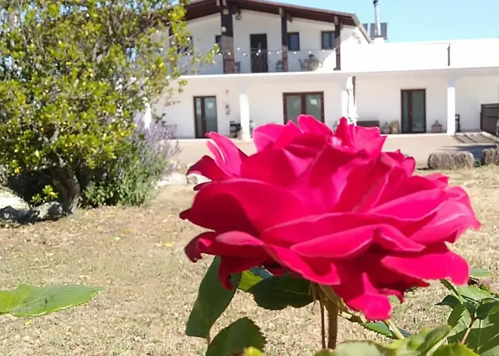 Bed & Breakfast Supramurgia Agribistrot Cassano delle Murge