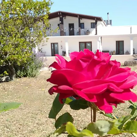 Bed & Breakfast Supramurgia Agribistrot Cassano delle Murge
