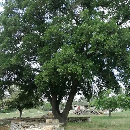 Bed & Breakfast Supramurgia Agribistrot 3*